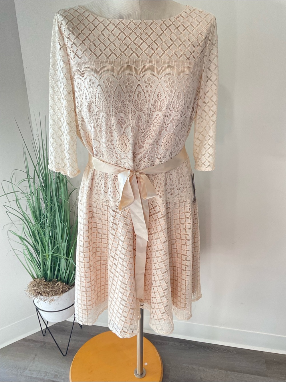 Tahari Elegant Cream Lace Belted Women's Dress Size 16